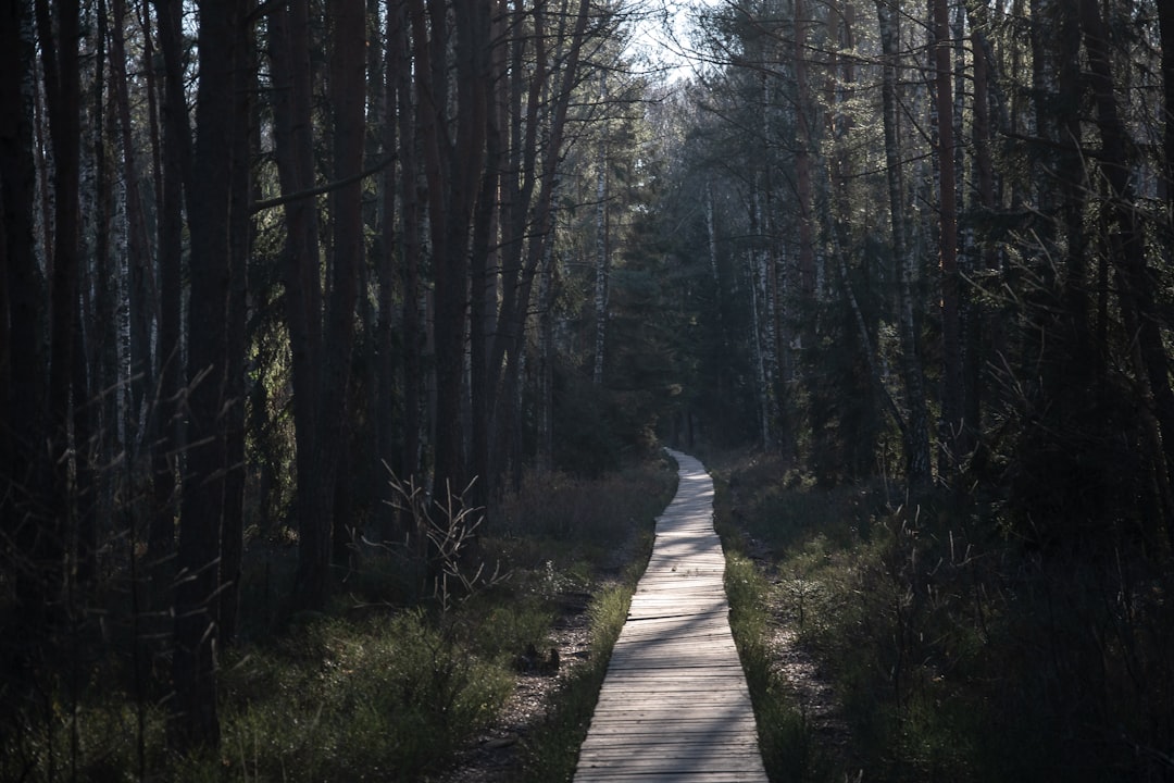 Une personne courant sur un sentier en forêt, illustrant la préparation pour la course à pied.