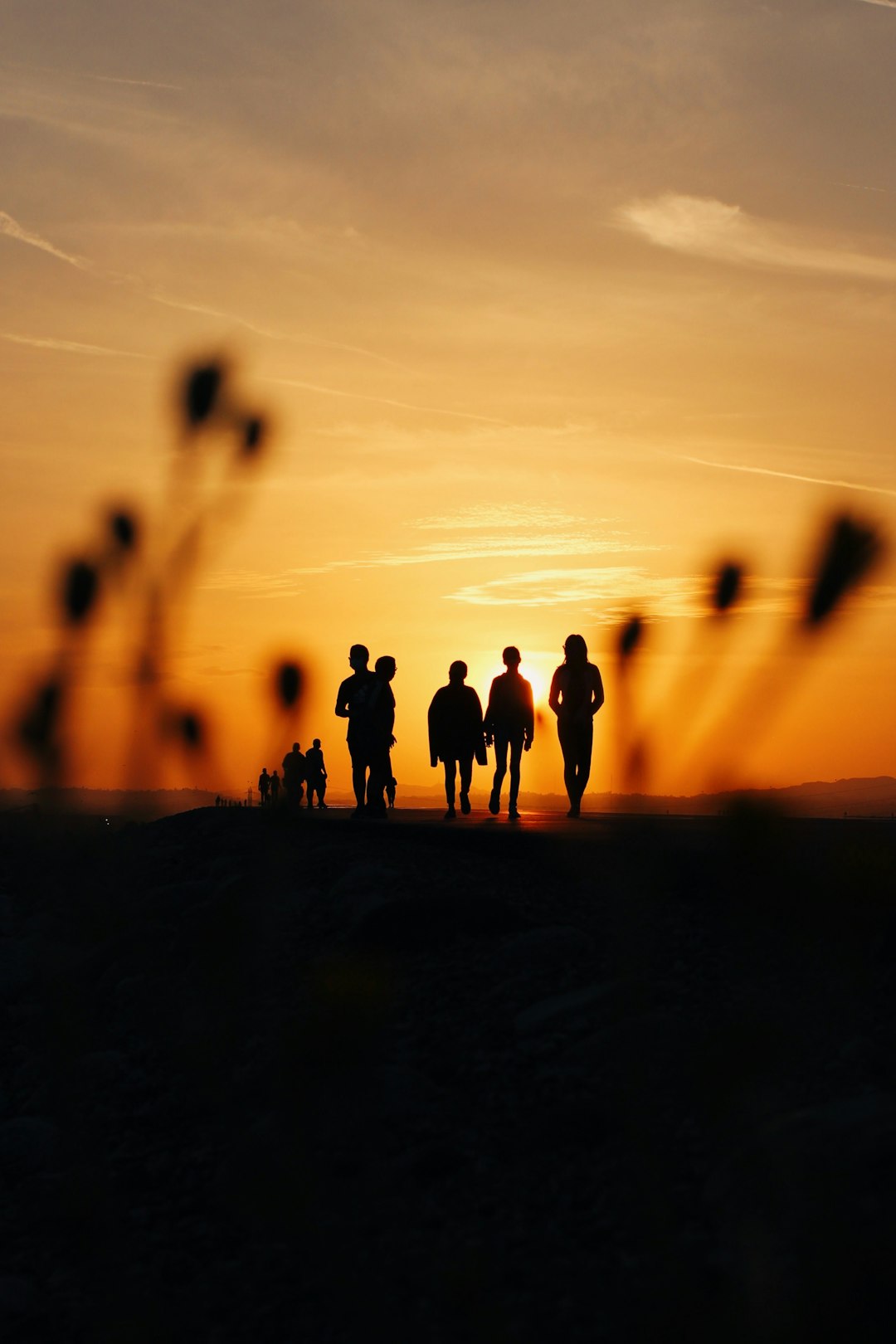 Un groupe de coureurs de dos, courant ensemble sur un sentier forestier au coucher du soleil.