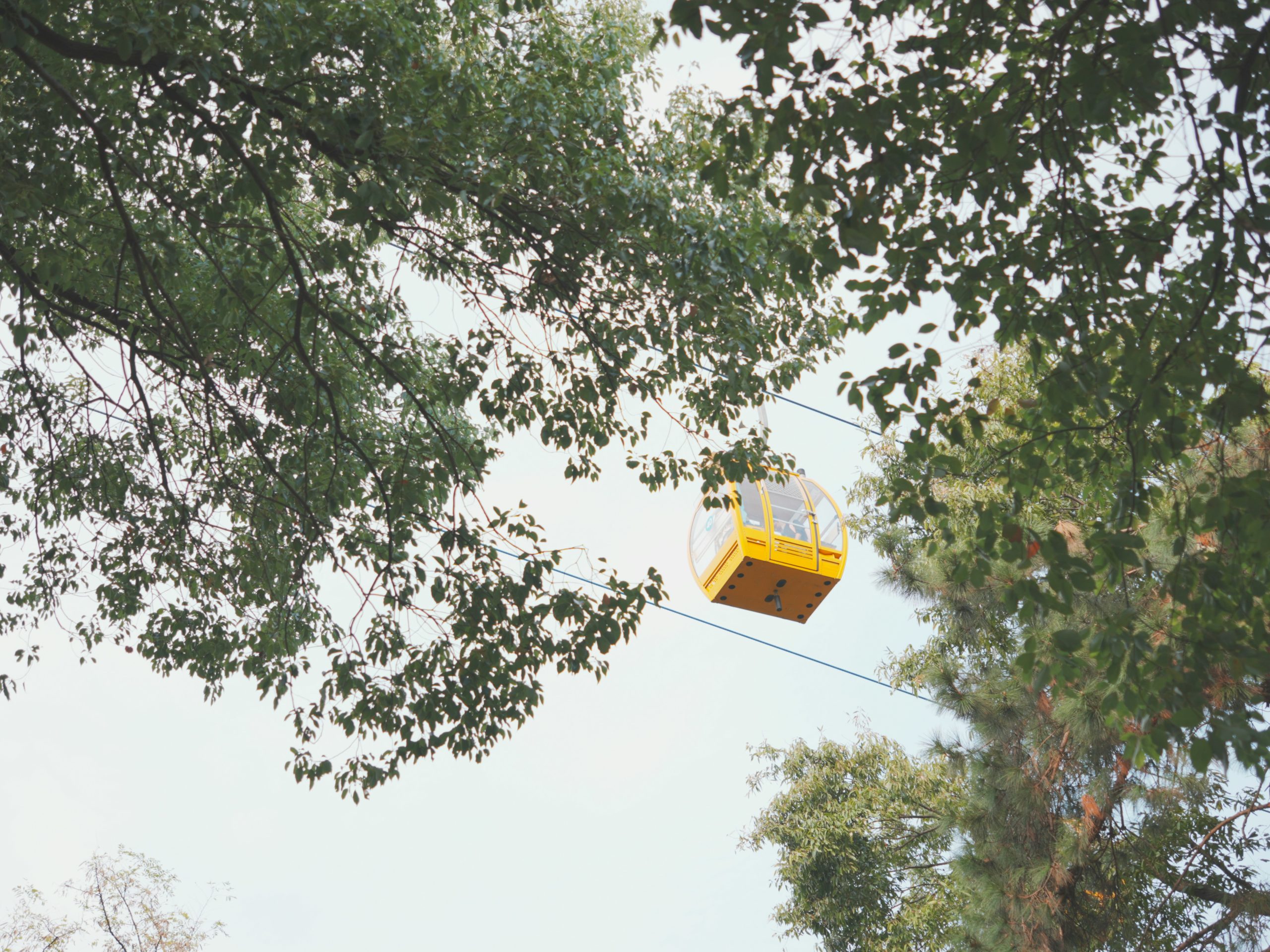 Group of people doing a circuit training that combines kettlebells and box jumps