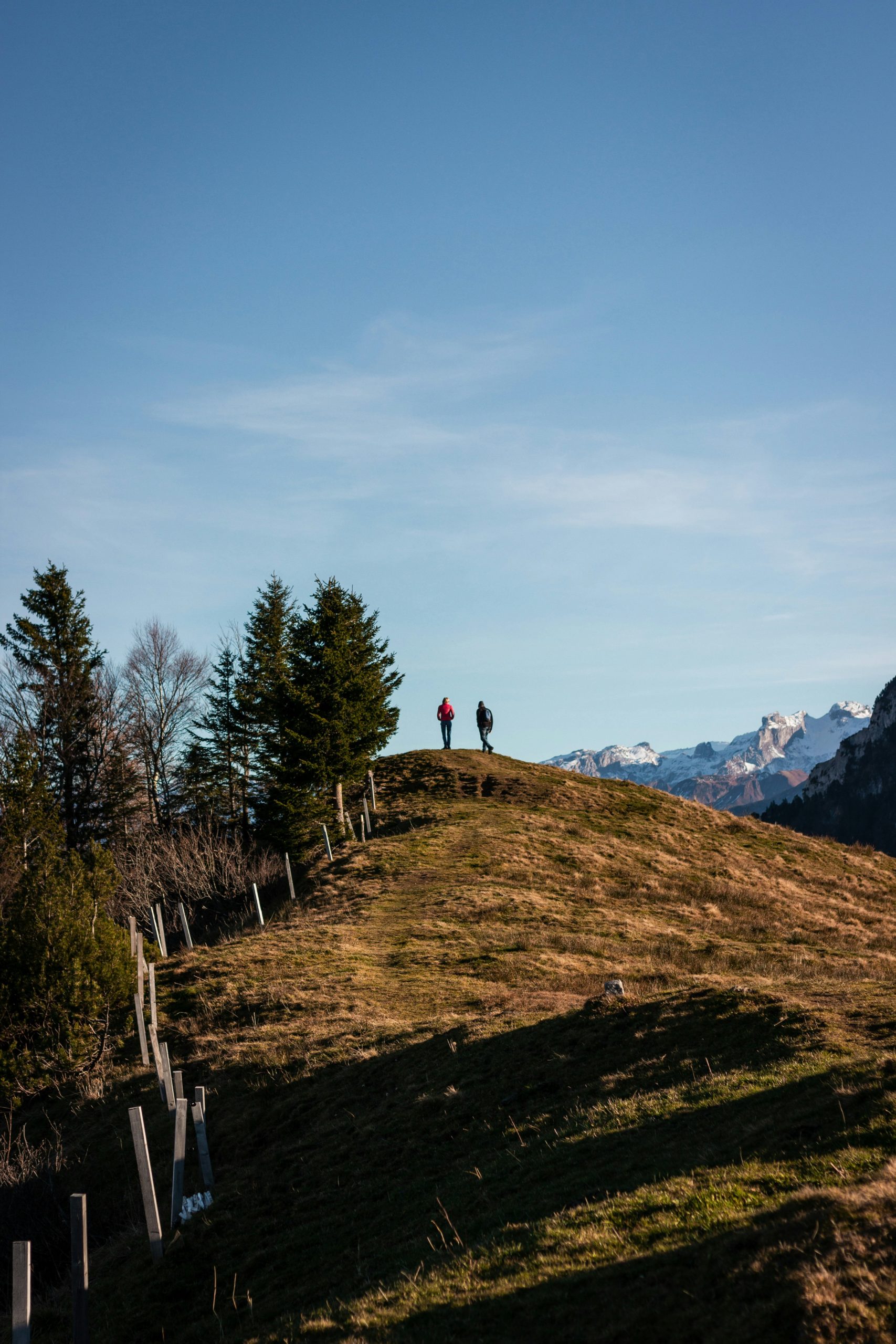 Happy people hiking in Swiss mountains illustrating the benefits of good fitness condition