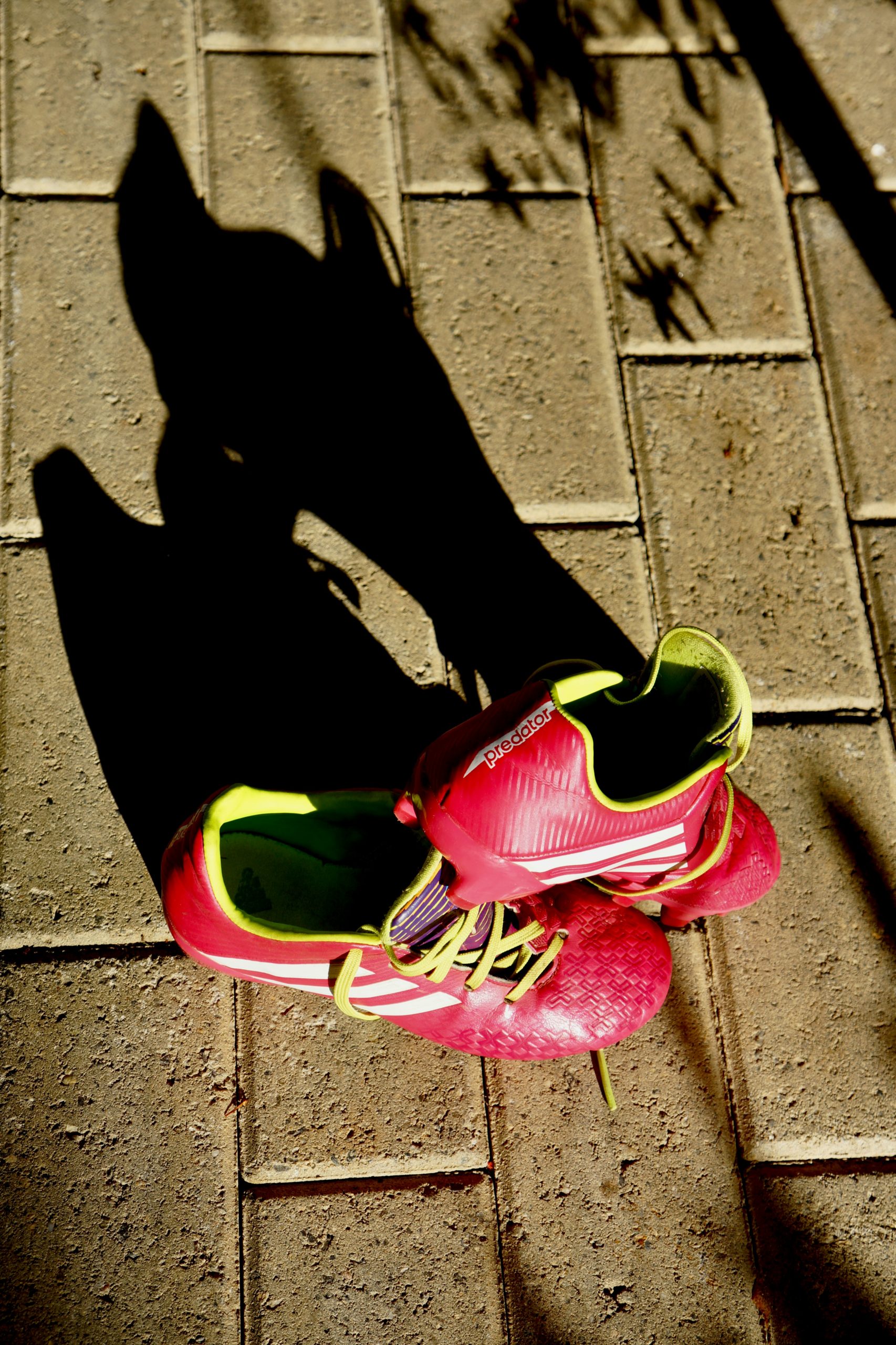 Close up of running shoes on a trail or track during a sunny day