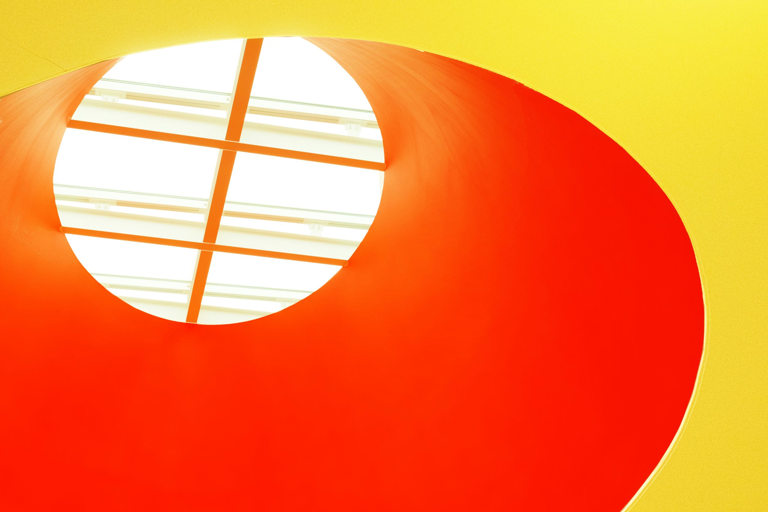 Barres olympiques et poids colorés rangés soigneusement dans une salle de sport moderne