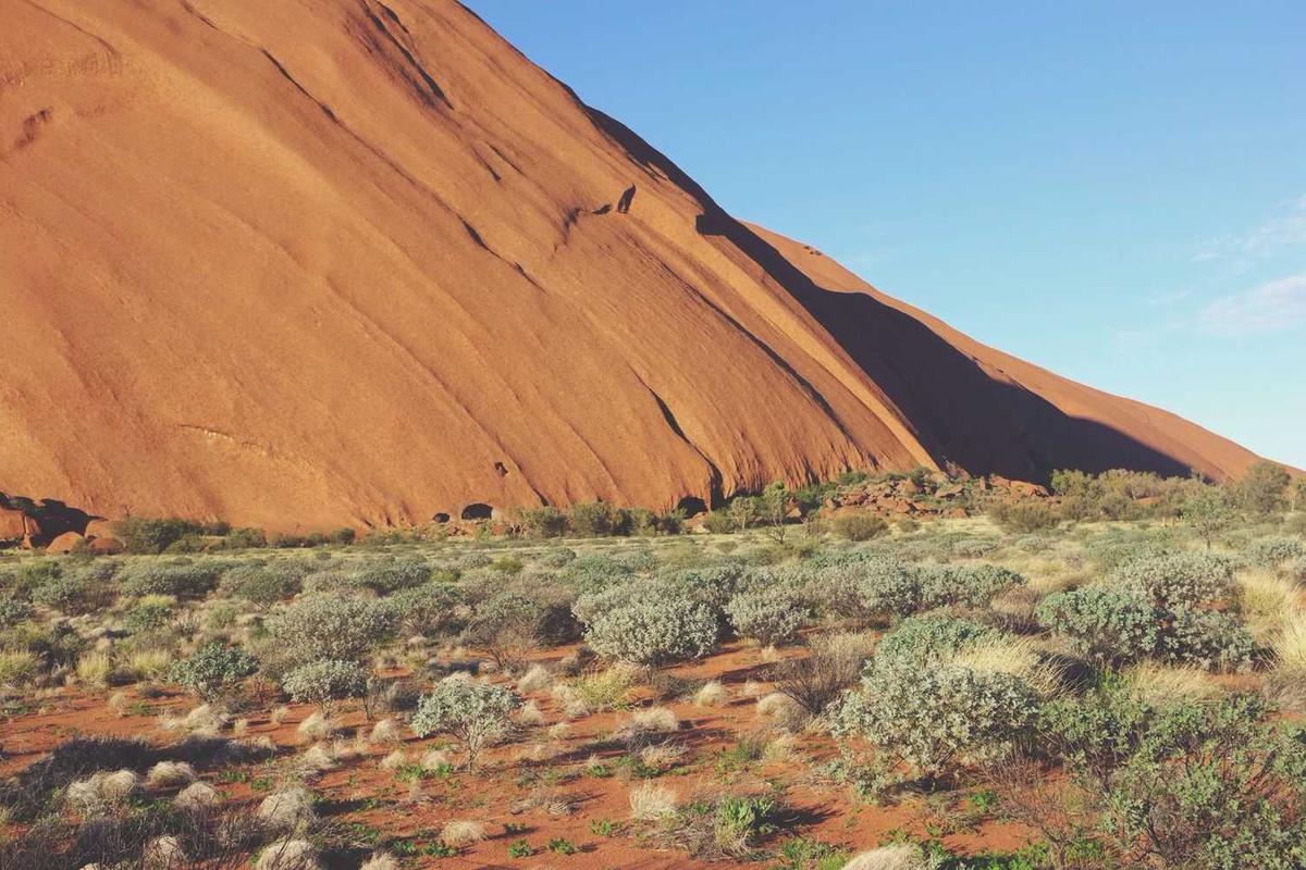 Formation rocheuse d'Uluru avec végétation désertique.