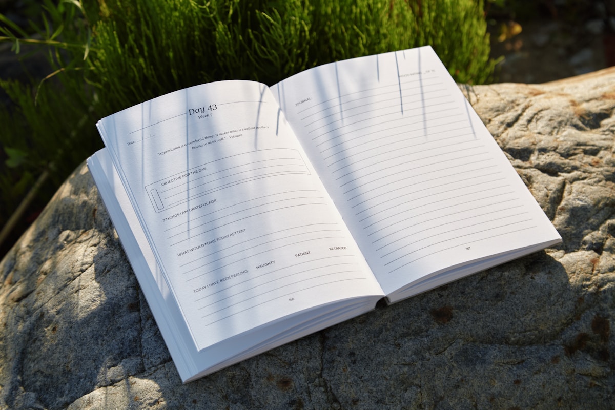 Cahier ouvert sur un rocher dans un environnement naturel verdoyant.